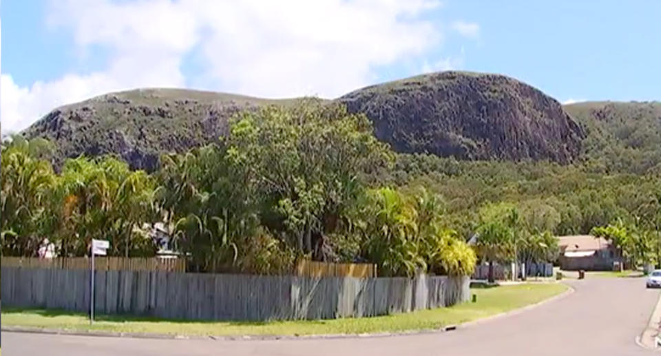 The snake attack occurred at Mount Coolum near Queensland's Sunshine Coast