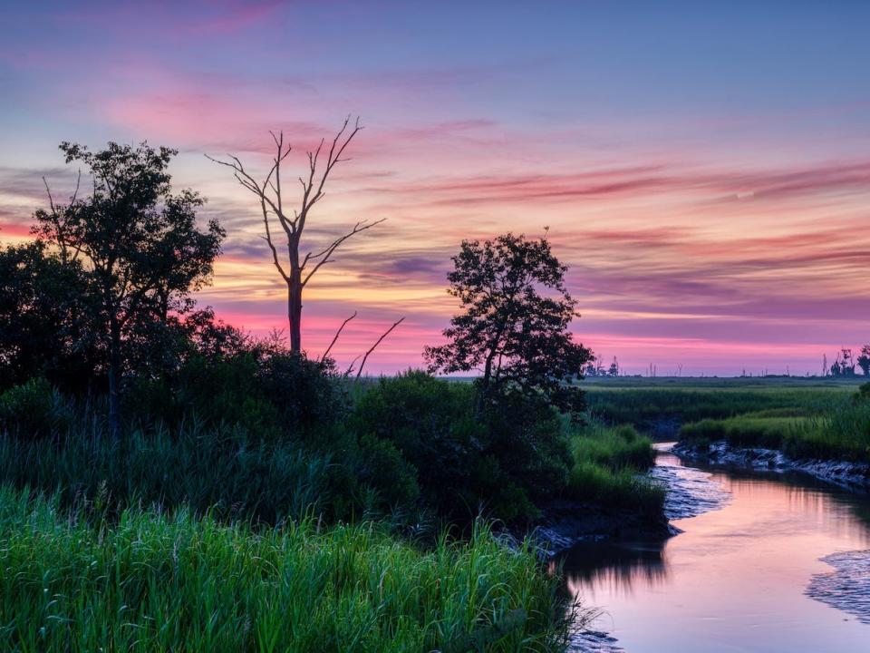 Bombay Hook, Delaware.