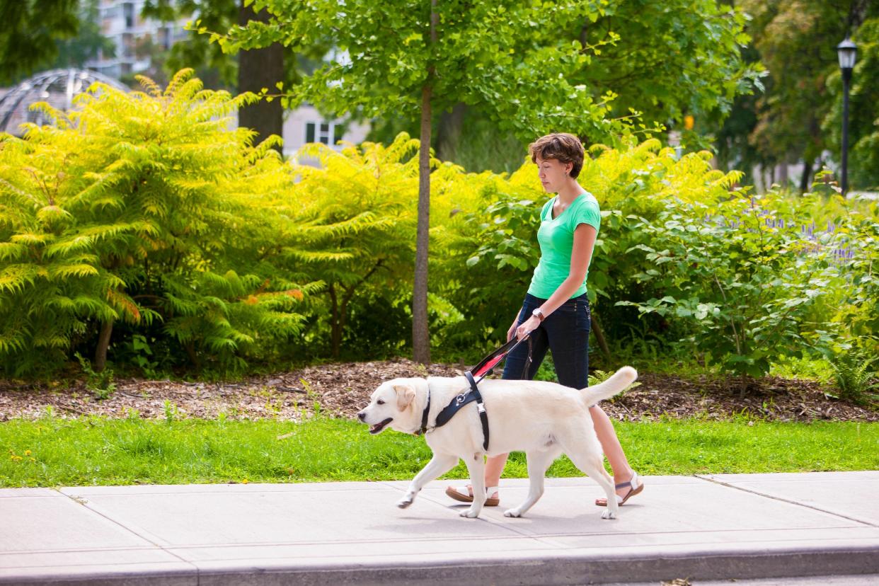 3 TikTok Guide Dogs to Watch on the 104th Anniversary of The Seeing Eye