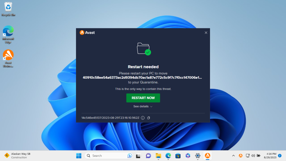 Avast Premium Business Security: Performance