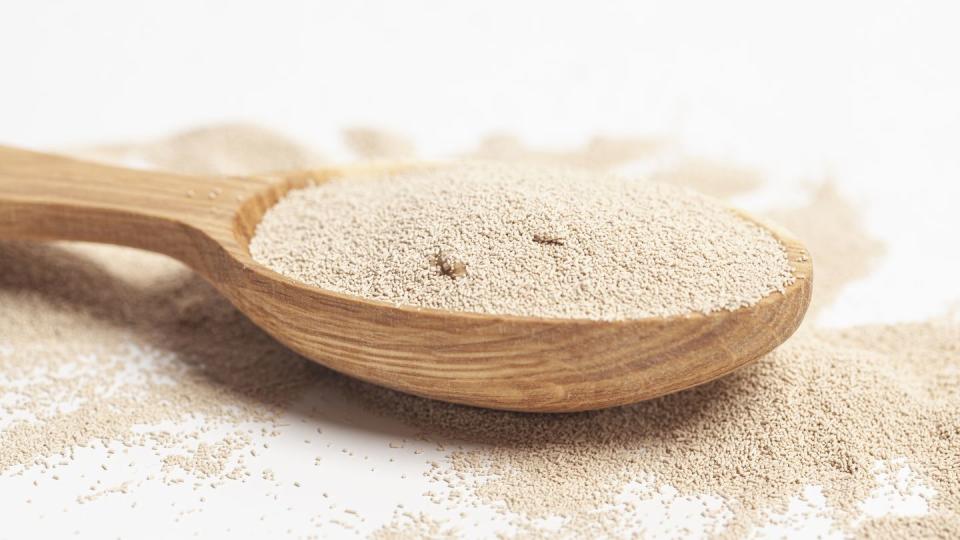 active dry baking yeast granules in wooden spoon