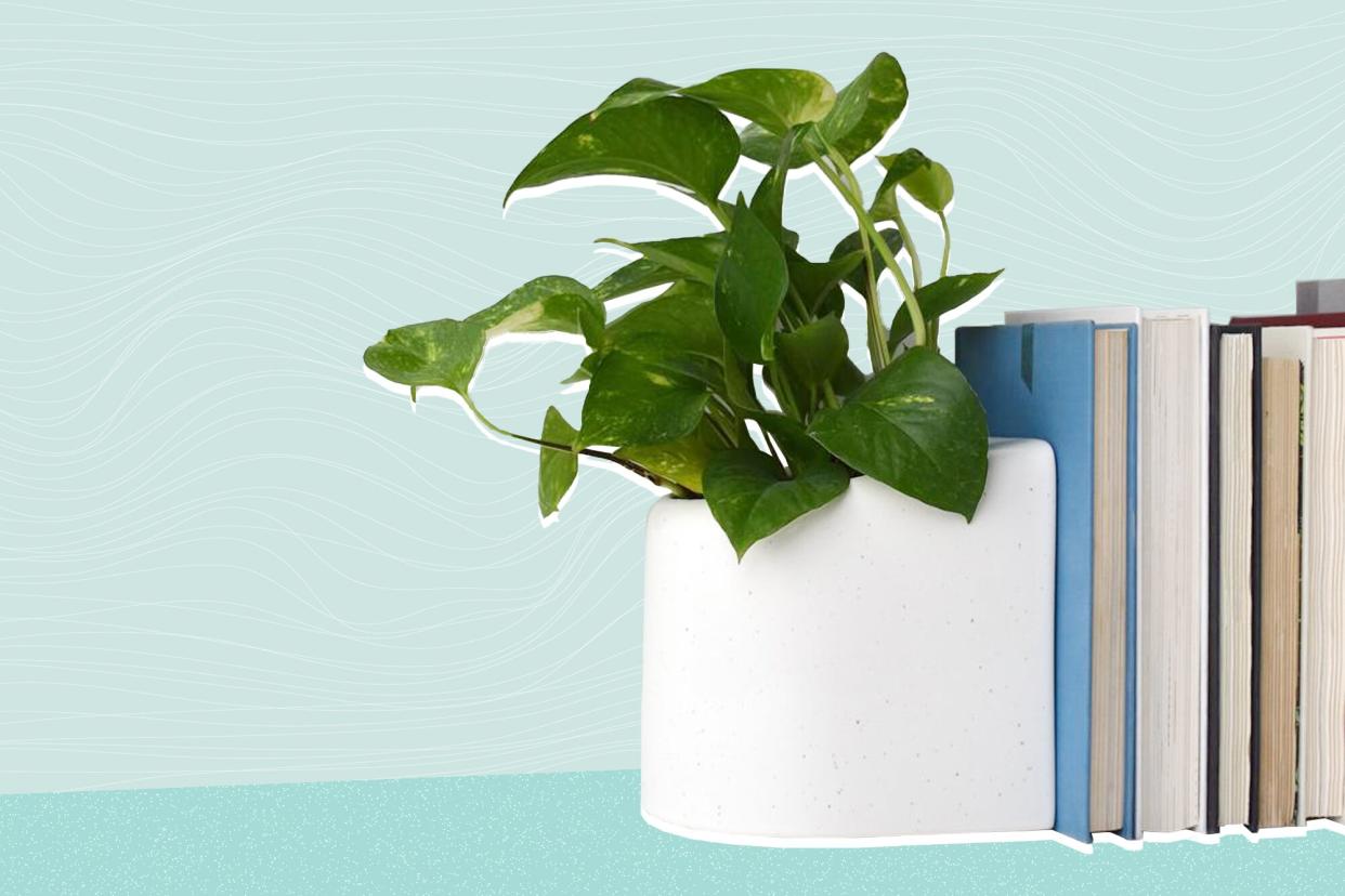 STAK Editor Planter Bookend, Gloss Speckle