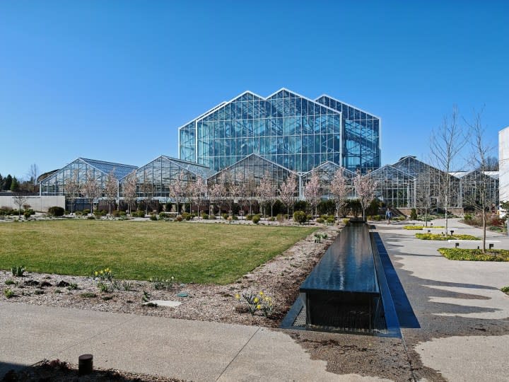 A photo of Frederik Meijer Gardens, taken with the Honor Magic 6 RSR.