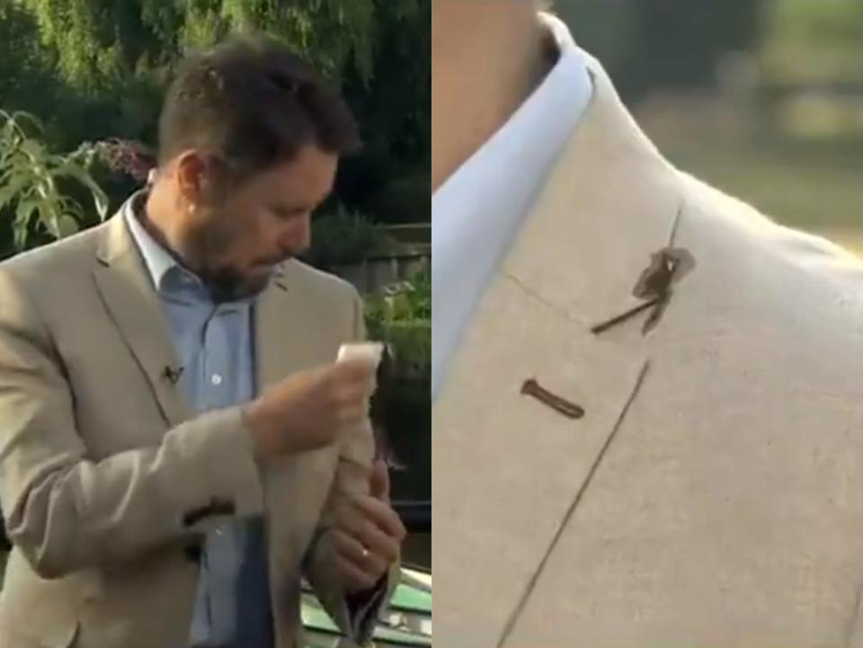 Jon Kay, as seen wiping bird dropping from his shoulder on ‘BBC Breakfast' (BBC)