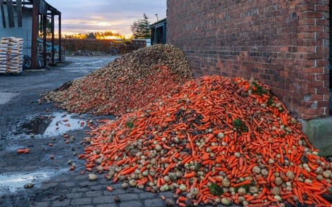The UK wastes around 10m tonnes of food every year