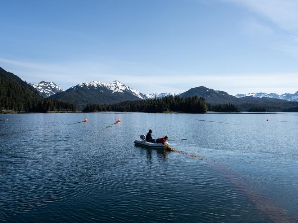 Tesia Bobrycki, director of regenerative economy at Native Conservancy, and Tyler Quales, mariculture crew, help hold the line from a small boat.