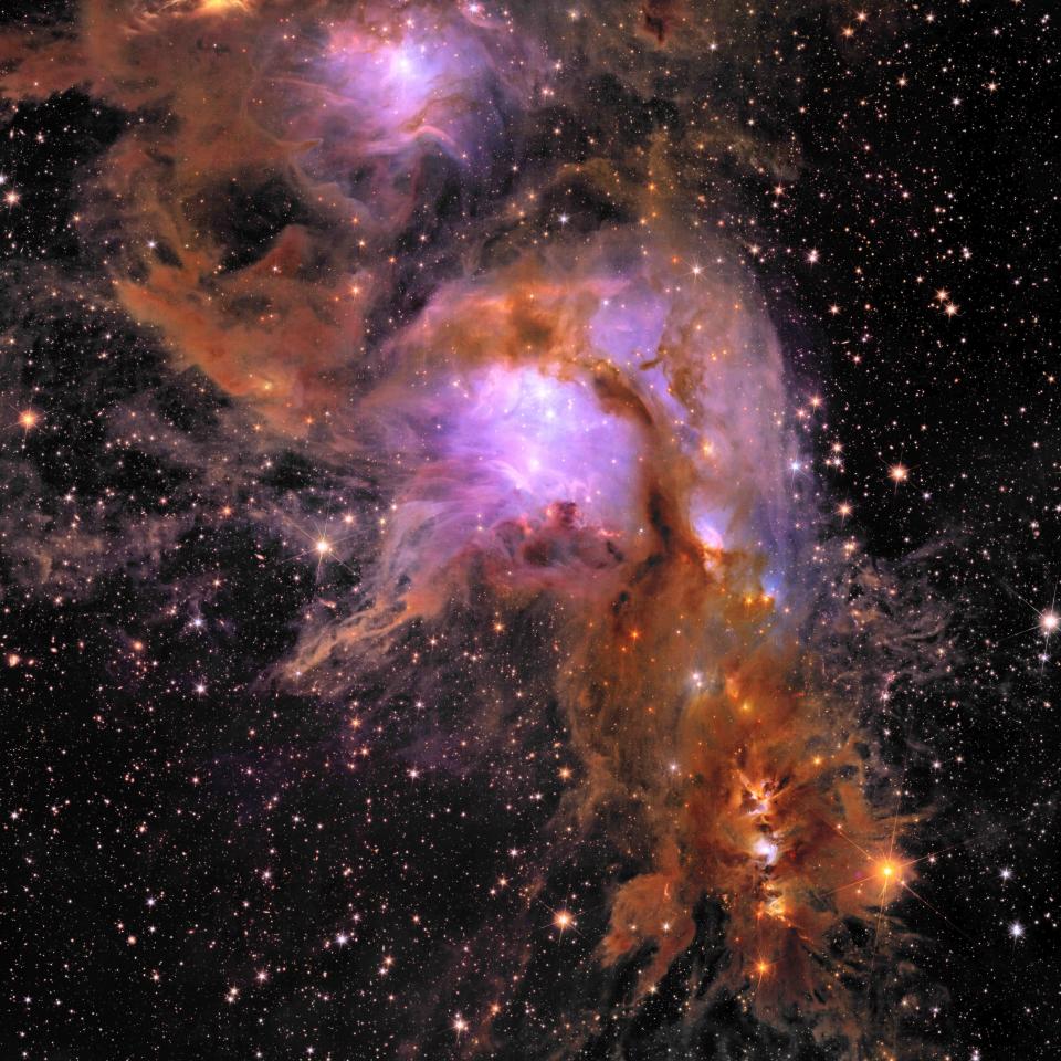 Pouponnière d’étoiles Messier 78 prise par le télescope spatial européen Euclid