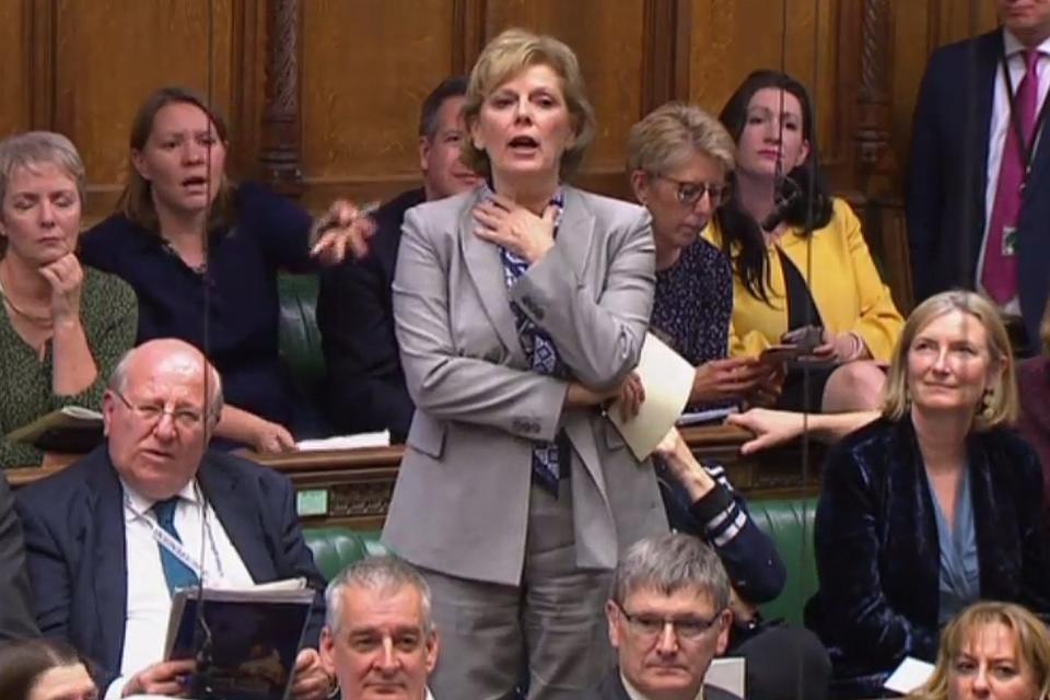 Anna Soubry in the Commons (AFP/Getty Images)