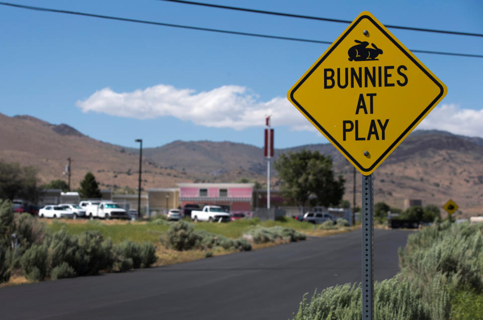 Road sign at the Moonlite BunnyRanch that reads "Bunnies at play" beneath a silhouette of two cartoon rabbits ... playing leapfrog?