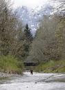 In this photo taken Tuesday, April 15, 2014, fisheries biologist Pete Verhey looks for evidence of fish eggs as he wades in Squire Creek, a tributary of the North Fork of the Stillaguamish River, near Darrington, Wash. Finding a spawning nest, called a redd, is an encouraging sign that steelhead trout may be making their way upstream from Oso., Wash., above where a massive landslide decimated a riverside neighborhood a month ago and pushed several football fields worth of sediment down the hillside and across the river. As search crews continue to look for people missing in the slide, scientists also are closely monitoring how the slide is affecting federally endangered fish runs, including Chinook salmon and steelhead. (AP Photo/Elaine Thompson)