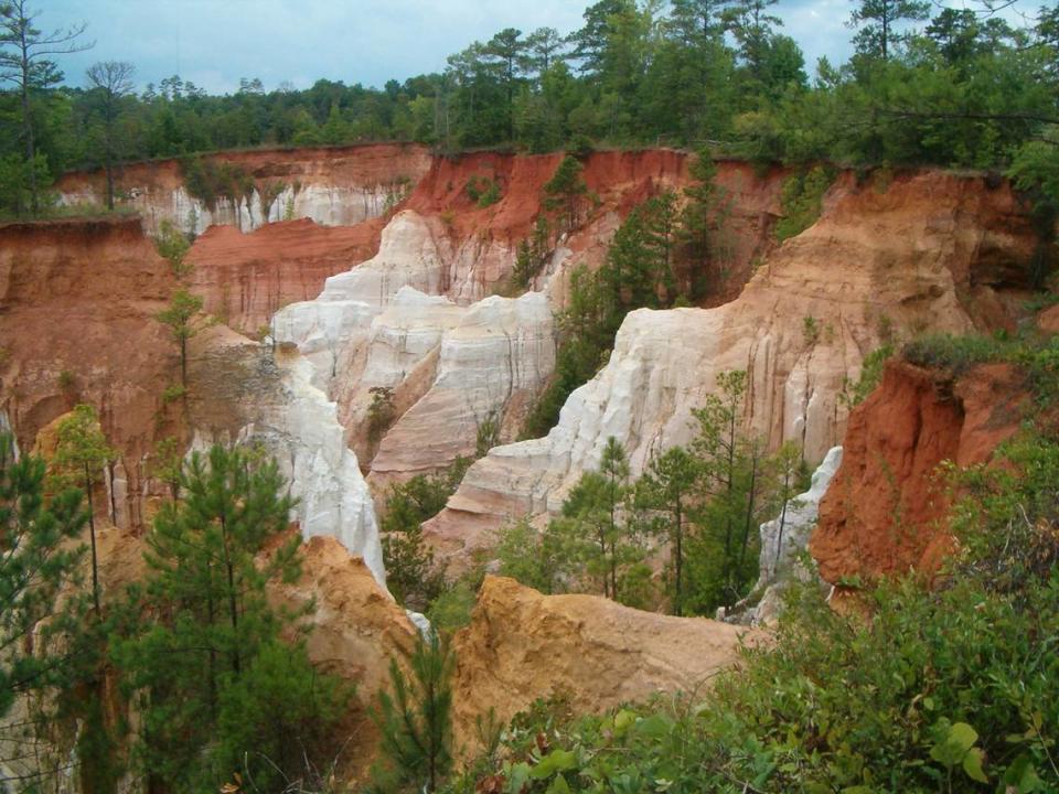 Haga una parada técnica y disfrute de hermosas vistas del cañón.