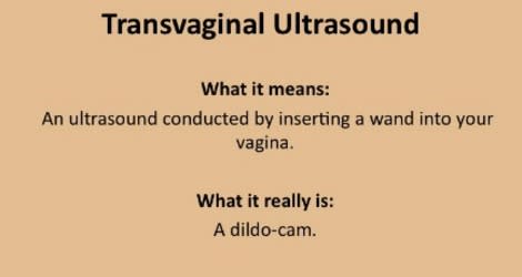 Transvaginal Ultrasound