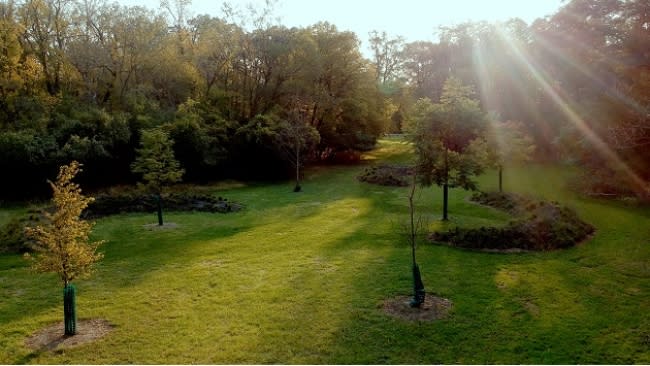 The Serpent Twin Mound, or Pokto Činto, a contemporary earthwork by Indigenous artist and architect Santiago X, in Schiller Woods near the shores of the Des Plaines River.