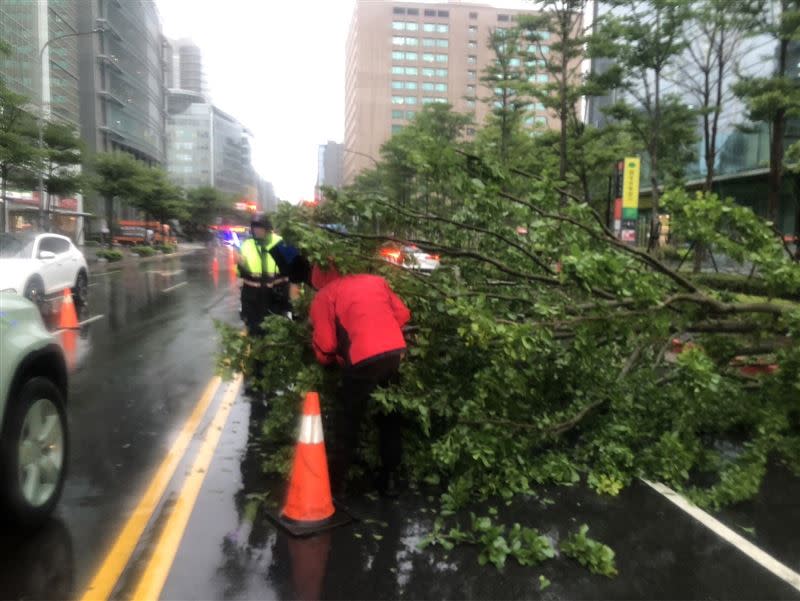 大樹倒塌完全佔據2線車道。（圖／翻攝畫面）