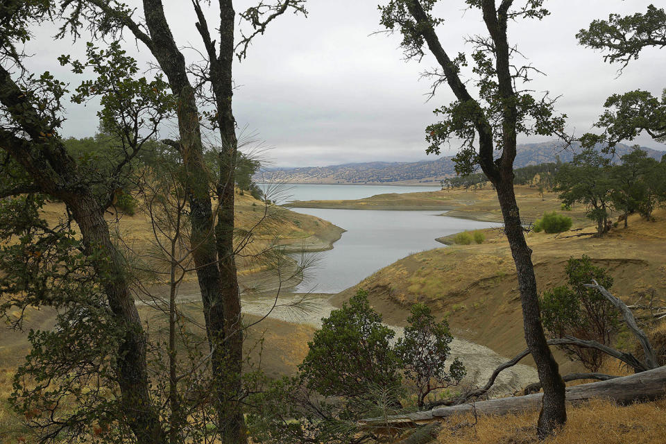 <p>In this July 10, 2015, file photo, trees frame Lake Berryessa with California’s newest national monument in the background near Berryessa Snow Mountain National Monument, in Calif. (Photo: Eric Risberg/AP) </p>