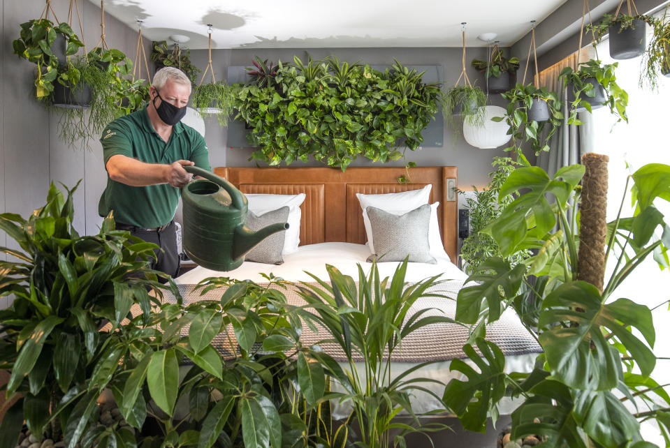 <p>Horticulturalist Steve Soika tends to the plants in the new "nature-themed" room at The Kimpton Blythswood Square hotel in Glasgow. �La Chambre Verte�, is an immersive luxury hotel suite experiment that measures the psychological and physical benefits of biophilic design and has been launched during Mental Health Awareness Week 2021. Picture date: Wednesday May 12, 2021.</p>
