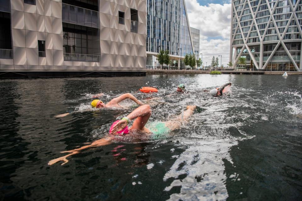 Canary Wharf launches first open water swimming venue.  (Handout)