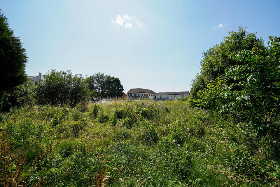 Joanne Gibson says that the wilderness behind her home is infested with rats and mice (reach)