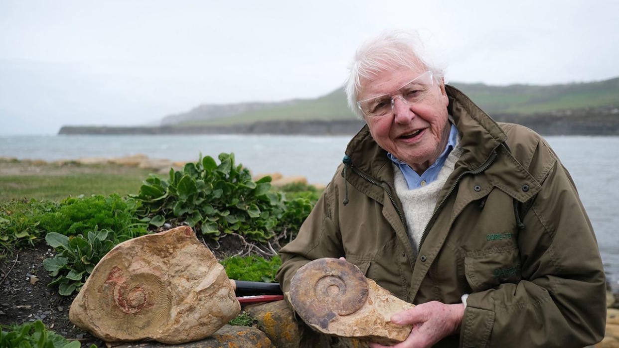 David Attenborough posing with a fossil to promote his Giant Sea Monster show. 