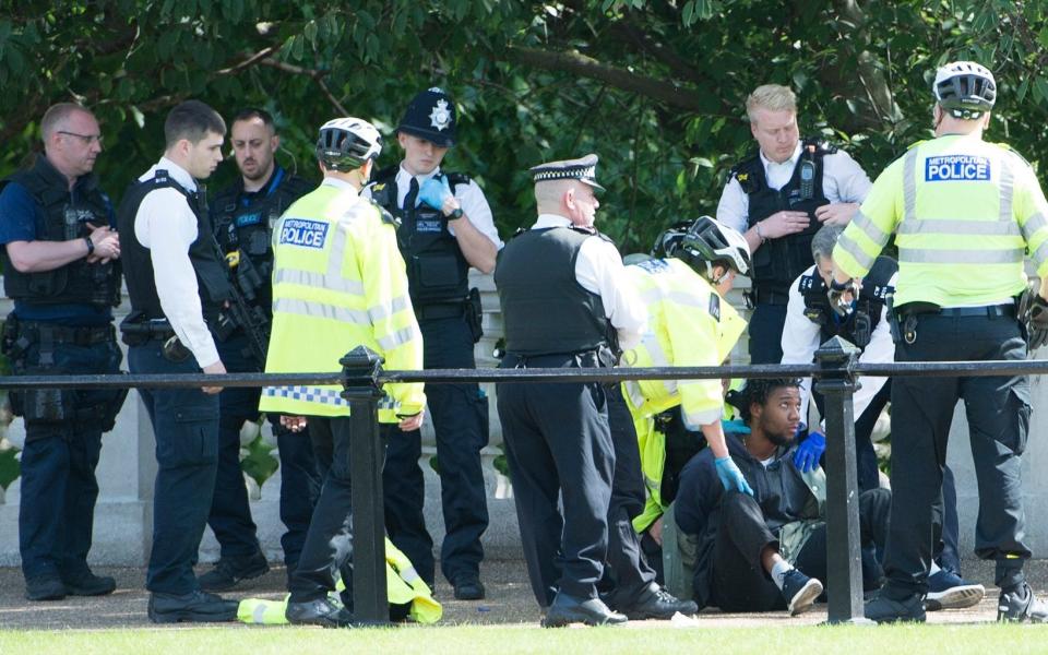 The man is surrounded by police as he is arrested near Buckingham Palace - Credit: Eddie Mulholland for The Telegraph