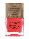 <p><strong>NAILS INC.</strong></p><p><strong>$10.00</strong></p><p><a href="https://go.redirectingat.com?id=74968X1596630&url=https%3A%2F%2Fwww.sephora.com%2Fproduct%2Fnails-inc-nailkale-plant-power-nail-polish-P460419&sref=https%3A%2F%2Fwww.prevention.com%2Fbeauty%2Fg37953024%2Fbest-winter-nail-colors%2F" rel="nofollow noopener" target="_blank" data-ylk="slk:Shop Now;elm:context_link;itc:0;sec:content-canvas" class="link ">Shop Now</a></p><p>Add some color to your dreary days with this bright high shine coral shade. It’s vegan, cruelty-free, and 7-free (meaning it’s free of <a href="https://www.prevention.com/beauty/g29303975/non-toxic-nail-polish/" rel="nofollow noopener" target="_blank" data-ylk="slk:potentially harmful chemicals;elm:context_link;itc:0;sec:content-canvas" class="link ">potentially harmful chemicals</a>) for a <a href="https://www.prevention.com/beauty/a32227910/best-at-home-manicure-tips/" rel="nofollow noopener" target="_blank" data-ylk="slk:manicure;elm:context_link;itc:0;sec:content-canvas" class="link ">manicure</a> that will elevate your winter look.</p>