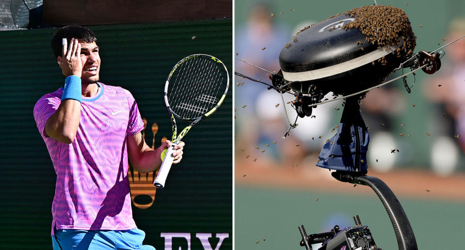 Seen here, Carlos Alcaraz reacts to a bee invasion at Indian Wells.