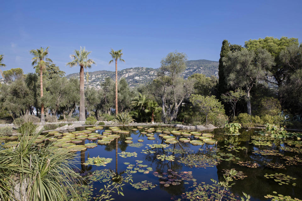 <p>Der weitläufige botanische Garten mit seinen Amazonas-Seerosen auf dem künstlich angelegten Teich ist ein weiterer faszinierender Teil der Villa. </p>