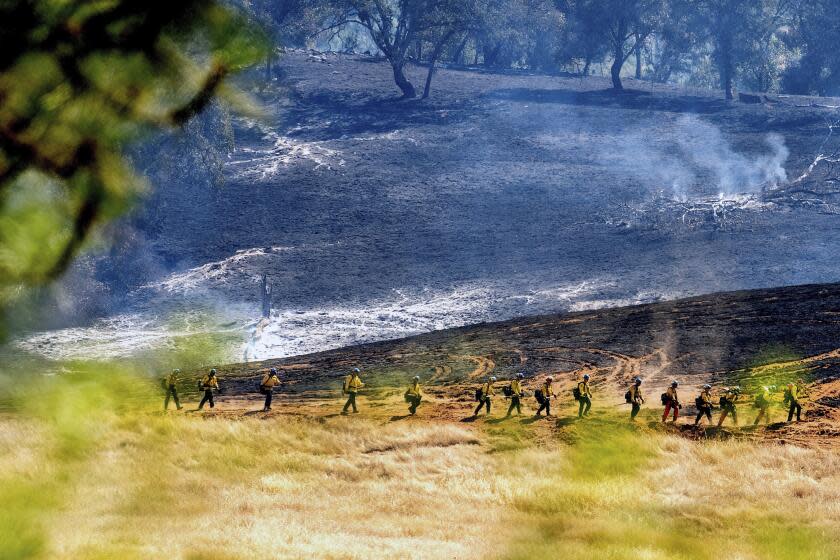 Firefighters walk along a hillside with scorched ground behind them while fighting the French Fire in Mariposa, Calif., on Friday, July 5, 2024. (AP Photo/Noah Berger)