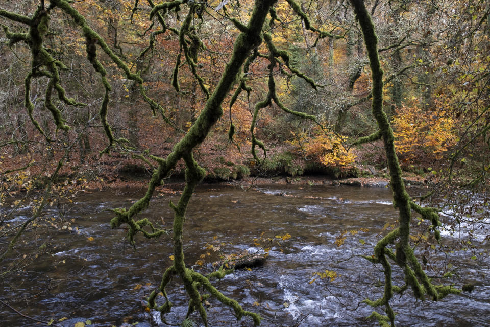 Beautiful Autumn colours amongst the trees surrounding the river at Tarr Steps on the River Barle, owned by Exmoor National Park Authority. (Getty Images)