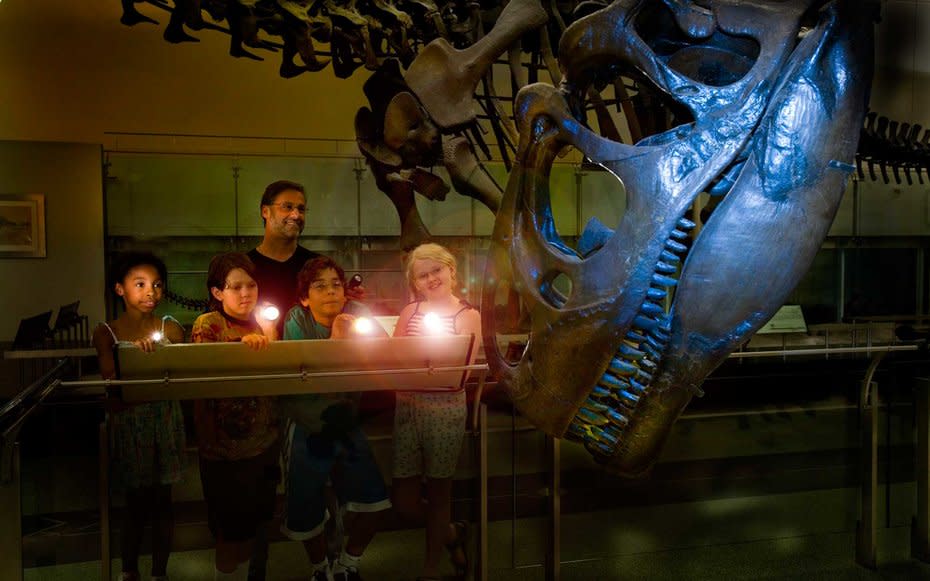 <p>Children and their parents are invited to spend the night at one of Manhattan’s most famous museums and go on a hunt for fossils after hours. According to the website you can “settle down beneath the 94-foot-long blue whale, next to African elephants, or at the base of a striking volcanic formation and fall asleep in the darkened halls of one of the world’s most beloved museums.” Space is limited and dates sell out quickly. Cost is $145 per person. Read more about it <a rel="nofollow noopener" href="http://www.amnh.org/plan-your-visit/amnh-sleepovers" target="_blank" data-ylk="slk:here;elm:context_link;itc:0;sec:content-canvas" class="link ">here</a>.</p>