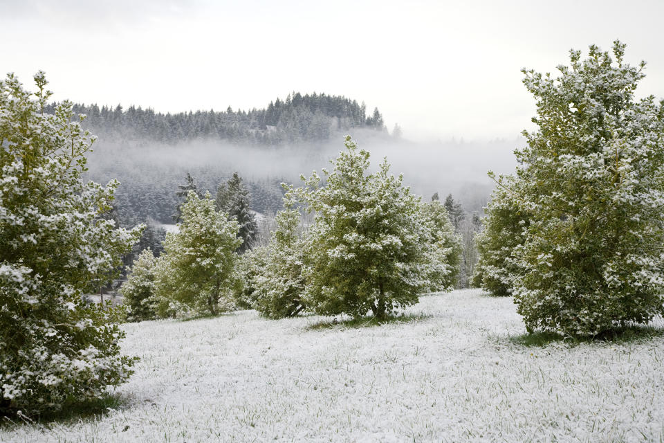 Um den 3. Advent kann es auch in den tieferen Lagen zu Schneefall kommen. (Bild: Getty Images)