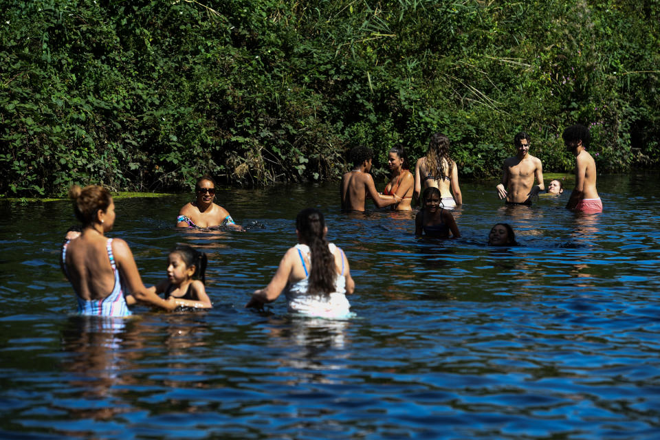 River dippers in the River Lea