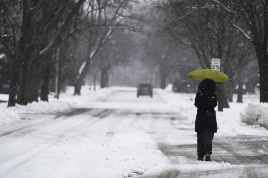 A woman walks with an umbrella during a snowy day in Wheeling, Ill., Friday, Jan. 12, 2024. (AP Photo/Nam Y. Huh)