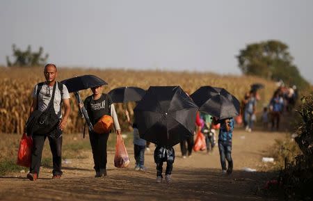 Migrants walk on a dirt road as they approach the Croatian border near the town of Sid, Serbia, September 18, 2015. REUTERS/Stoyan Nenov