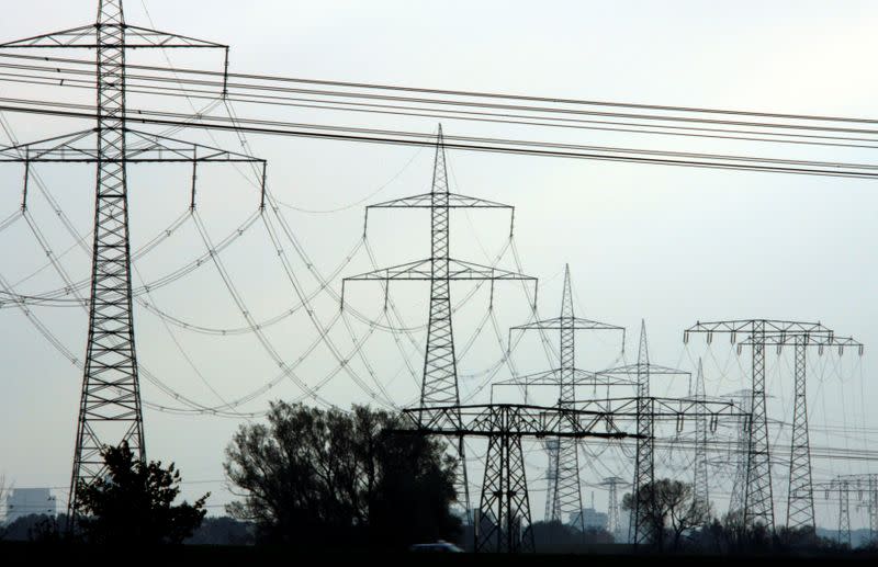 FILE PHOTO: High-voltage power lines and electricity pylons are pictured near Berlin