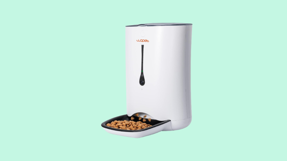 An automatic feeder makes for fuss-free mealtimes.