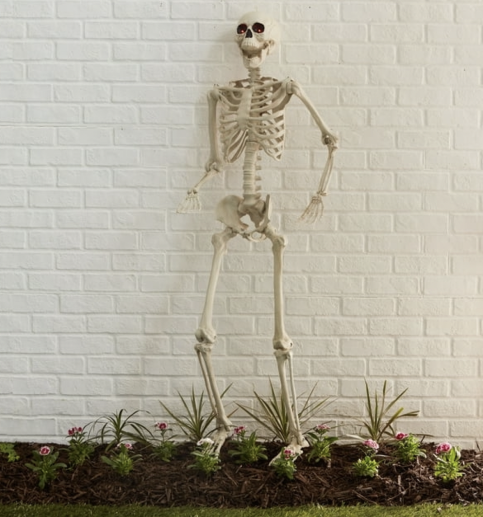 <p><a href="https://go.redirectingat.com?id=74968X1596630&url=https%3A%2F%2Fwww.walmart.com%2Fip%2FHalloween-Plastic-Posable-Skeleton-with-Light-Up-Eyes-Decoration-Bone-Color-60-in-3-5-lbs-by-Way-To-Celebrate%2F1395987866&sref=https%3A%2F%2Fwww.thepioneerwoman.com%2Fholidays-celebrations%2Fg36720629%2Fwalmart-halloween-decorations%2F" rel="nofollow noopener" target="_blank" data-ylk="slk:Shop Now;elm:context_link;itc:0;sec:content-canvas" class="link ">Shop Now</a></p><p>Halloween Plastic Posable Skeleton</p><p>walmart.com</p><p>$39.98</p><span class="copyright">Walmart</span>