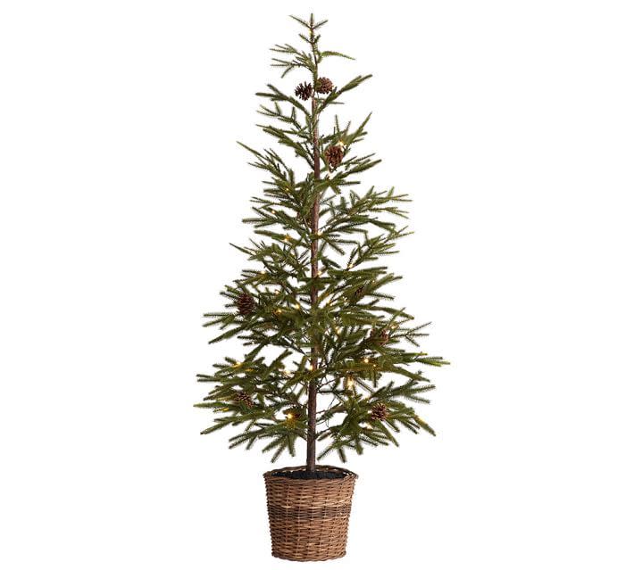 6) 48" Pre-Lit Faux Pine Trees in Basket