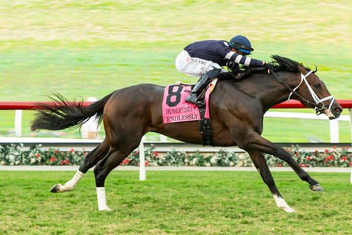 Endlessly, shown winning the 2023 Del Mar Juvenile, is the morning-line favorite in Saturday's Grade 1 Belmont Derby Invitational at Aqueduct. Benoit Photography, courtesy of Del Mar