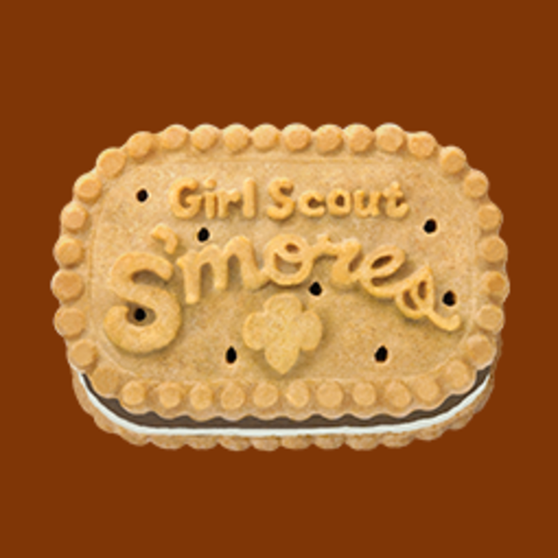 <p>girlscouts.org</p>