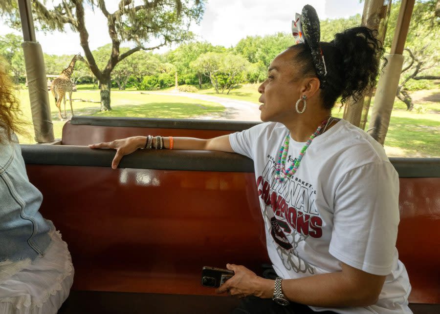 (April 27, 2024) South Carolina women’s basketball head coach Dawn Staley was one of the first guests of the day to experience Kilimanjaro Safaris on Saturday morning before joining her assistant coaches in a celebratory parade at Magic Kingdom. Staley and the coaches were at Walt Disney World to celebrate the team’s recent national championship. (Kent Phillips, photographer)