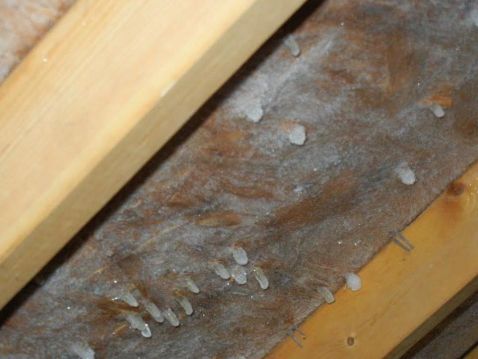 Attic rain happens when moisture builds up in the attic, freezes as it has in this picture, and then melts in warmer weather.