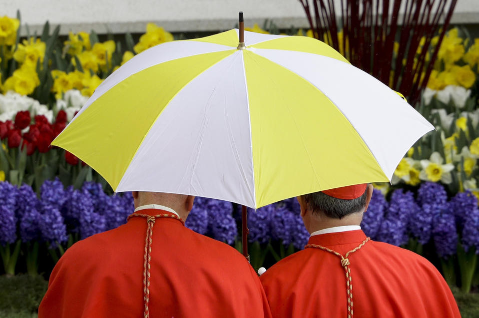 Cardinals sharing umbrella