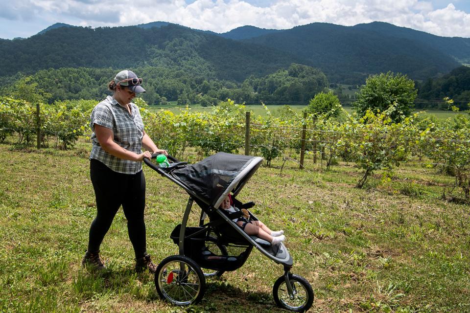 Jessica McMahan walks her daughter, Natalie, through one of her vineyards in Sandy Mush July 13, 2023.