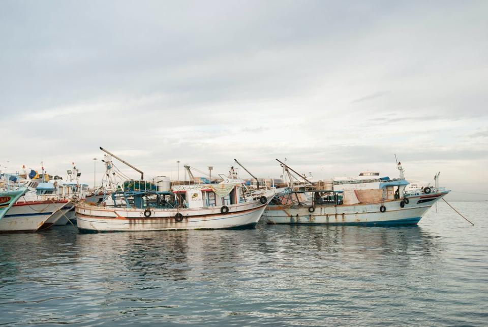 全球漁業過度捕撈造成近九成魚種面臨生存危機，也導致藍碳減少。圖片來源： Anastasia Fomina／Unsplash