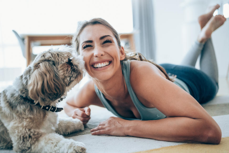 Mit seiner Trainingsmethode möchte Rütter auf jeden Hund und Besitzer individuell eingehen. (Bild: Getty Images)