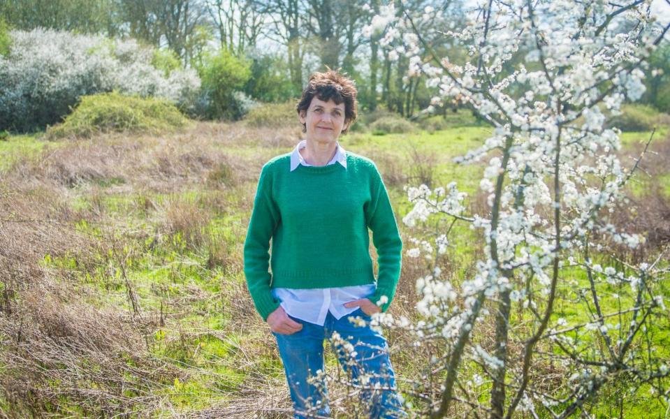 Isabella Tree on her rewilded farm in Horsham - Francesco Guidcini/The Sunday Times