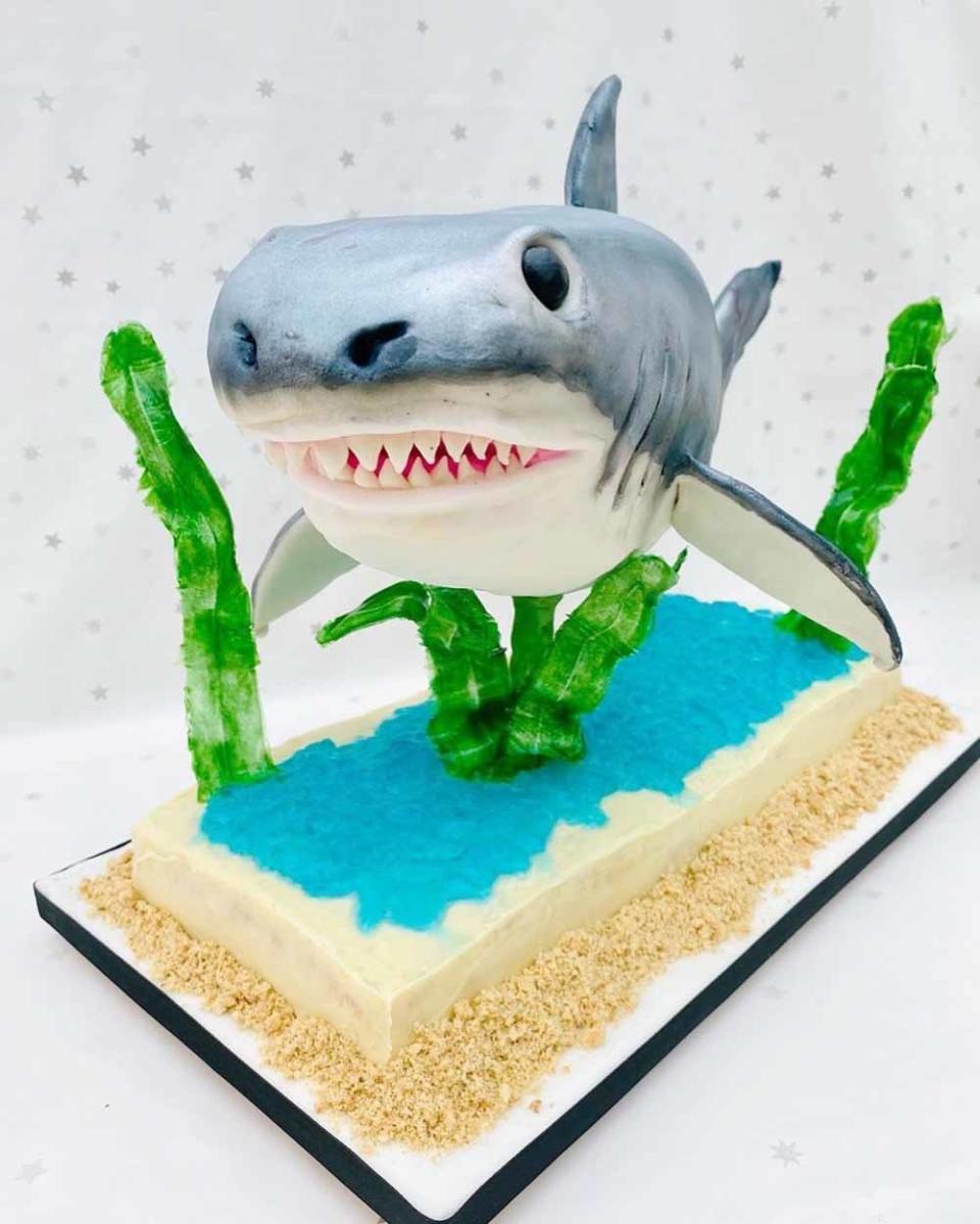 Kelly’s free standing shark cake (PA Real Life/Collect)