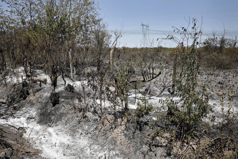 La zona que sufrió el incendio y afectó las líneas de alta tensión, en el municipio de Pilar