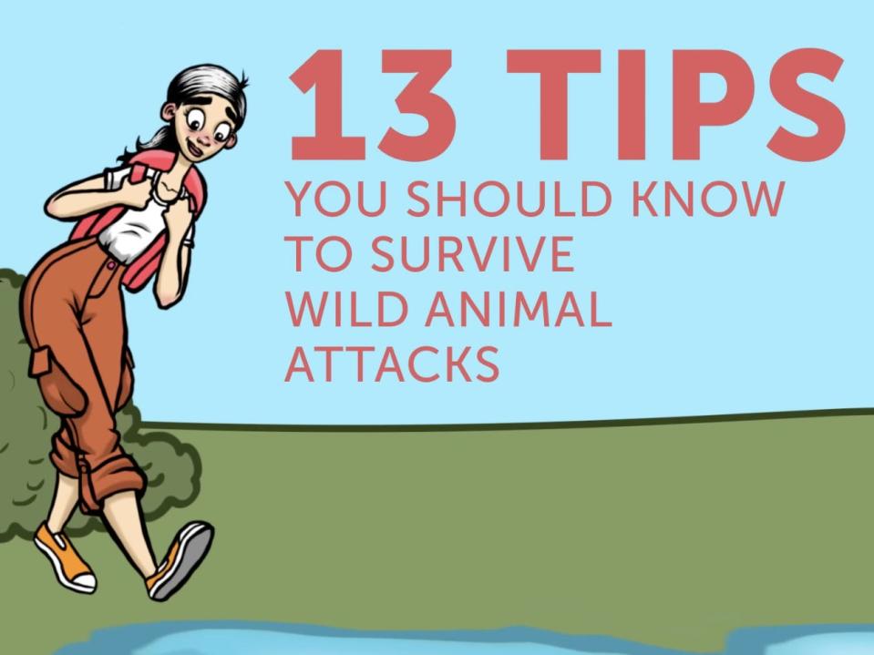 Screenshot from Bright Side's channel about how to survive wild animal attacks.